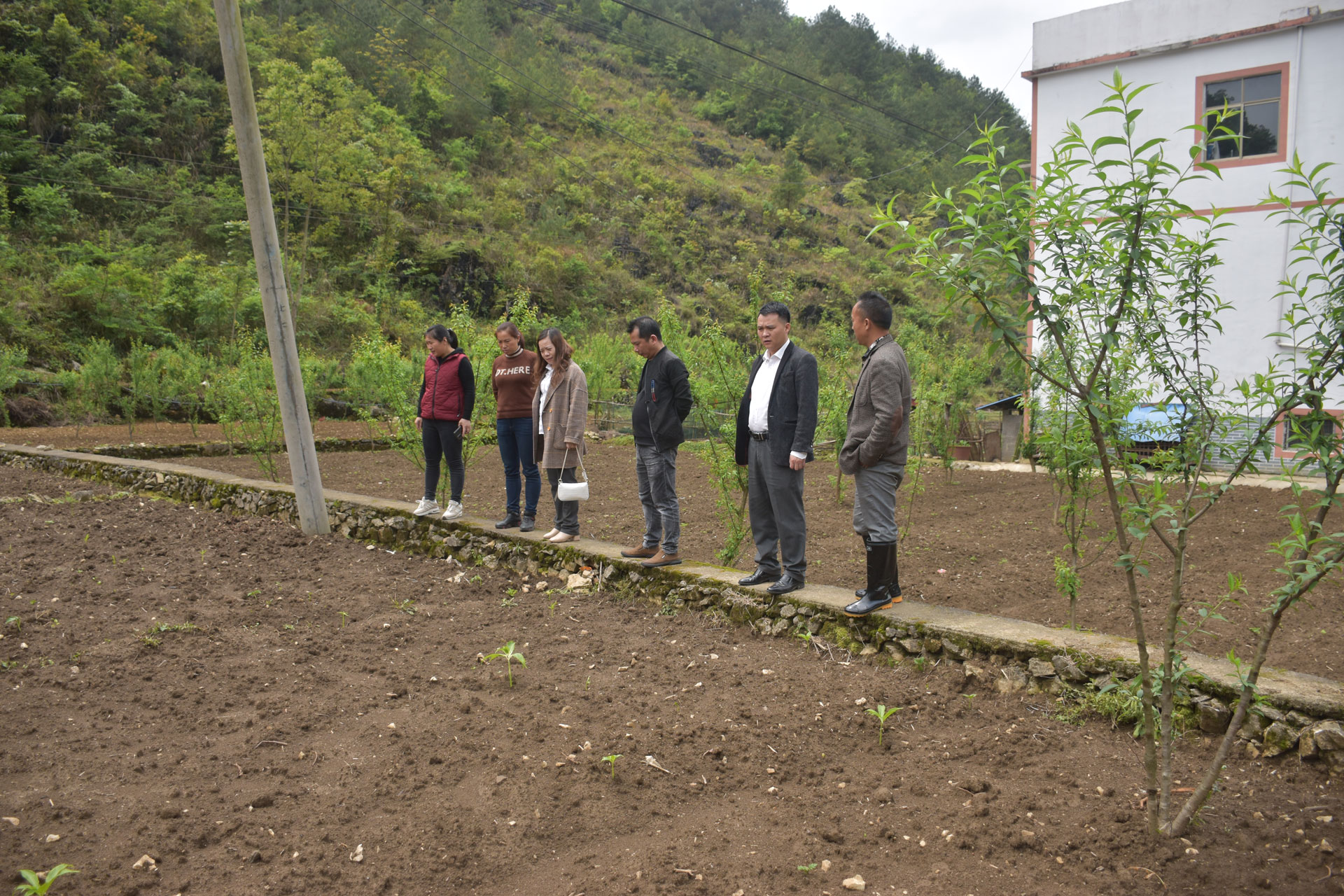 到聯(lián)系村沫陽(yáng)董架村生姜基地開(kāi)展實(shí)地調(diào)研